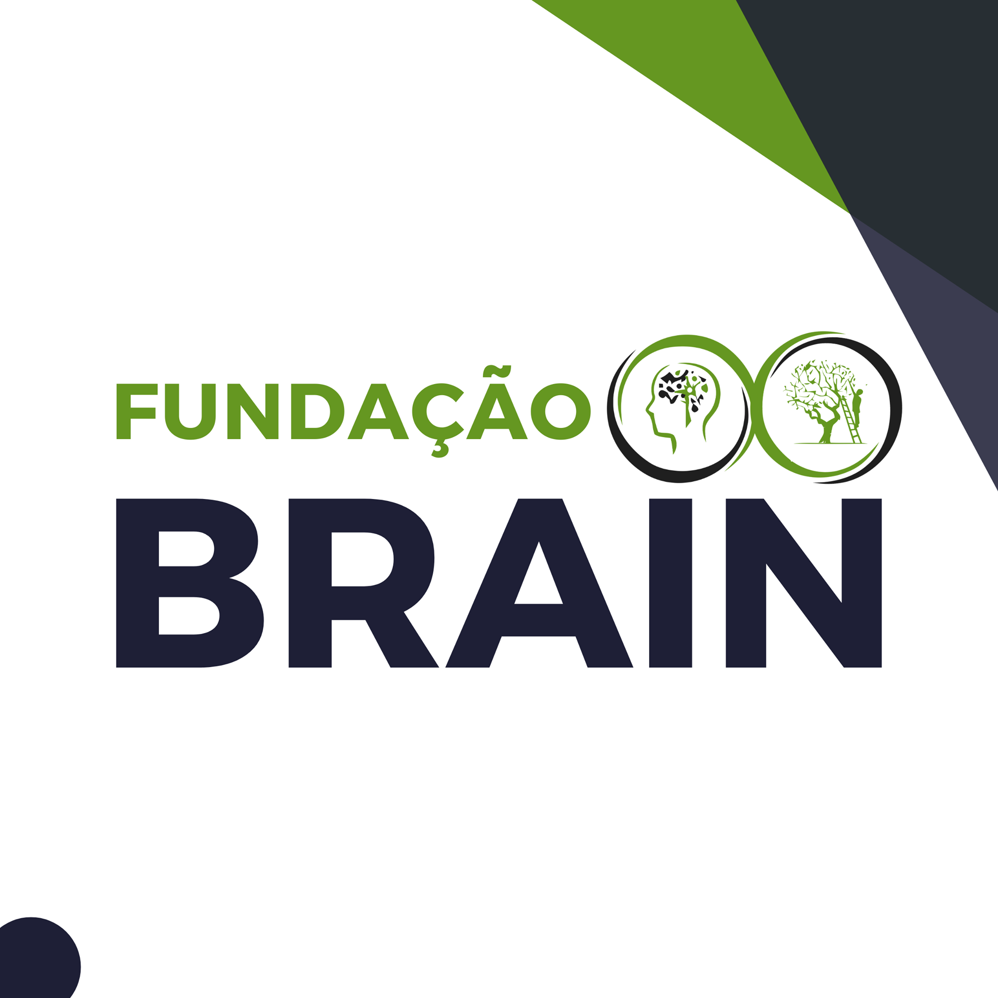 Fundação Brain